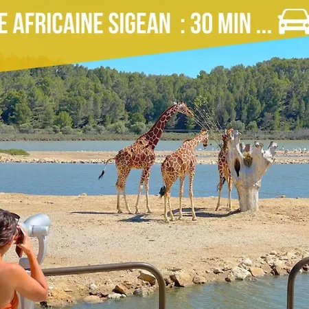 Апартаменты Grand Sud - Climatisation, Piscine, Parking *