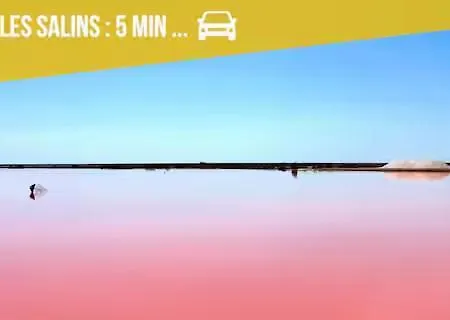 Grand Sud - Climatisation, Piscine, Parking * جرْويسا